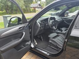 
										BMW X3 xDrive20i Aut. full									