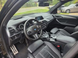 
										BMW X3 xDrive20i Aut. full									