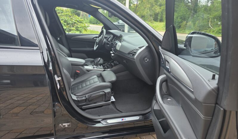 
								BMW X3 xDrive20i Aut. full									
